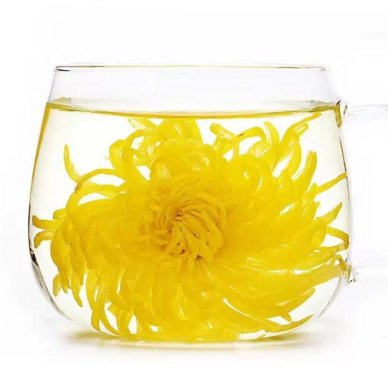 golden yellow chrysanthemum