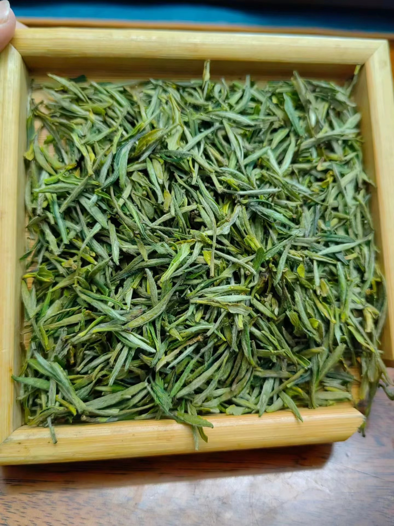 Organic green tea leaf Huangshan Maofeng