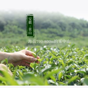 Yuanjinxin Organic Tea Planting Farm in Huangshan