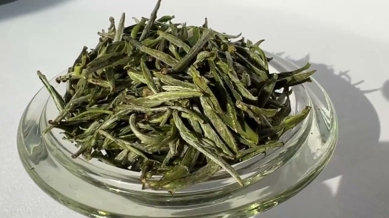 The Way Of Picking And Making For Huangshan Maofeng， Organic Green Tea Farm, China, Wholesale Price